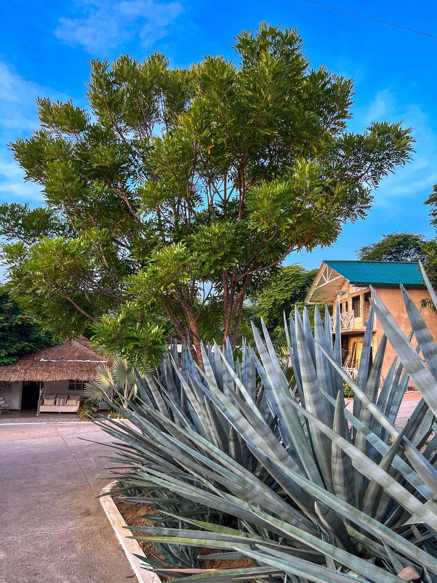 Villas El Encanto جالبان المظهر الخارجي الصورة